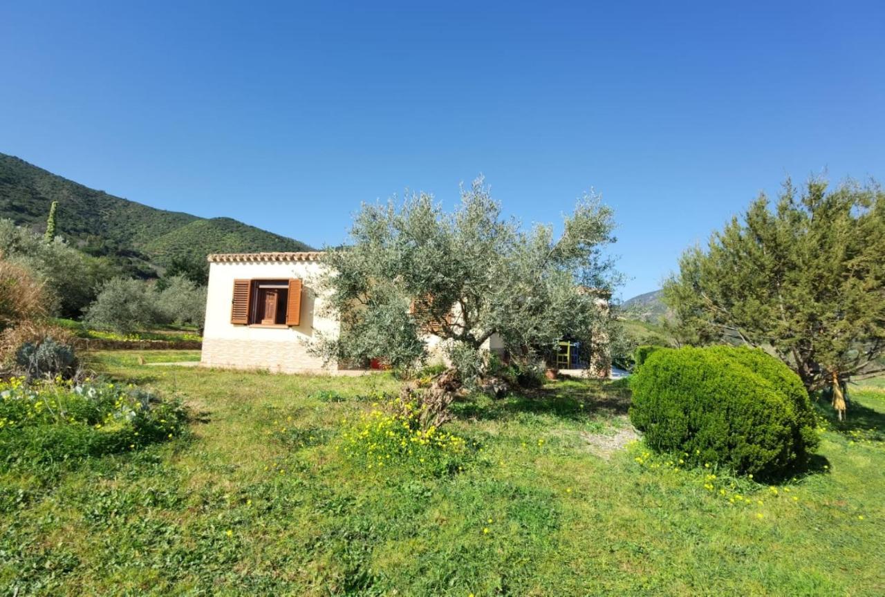 Domu Abi Manna Villa Tertenìa Exteriör bild